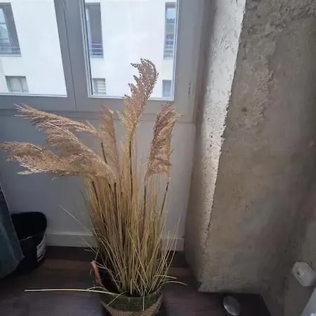 Daire T3 Centre - 2 Ch - Maison Carree *